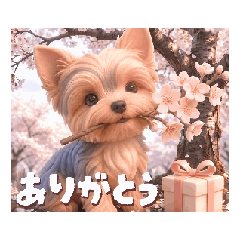 Kano Aizawa_20260426015923