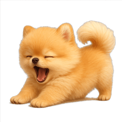 Fluffy Pome-chan's Daily 24