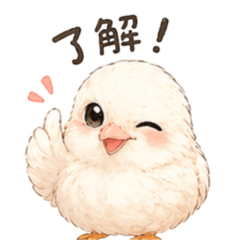 Fluffy Button Quail, Mochimaru