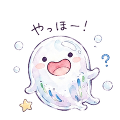 Salpa Drifting Cuties