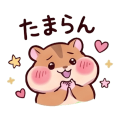 Hamster - Daily Chat Stickers