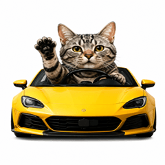 cat-car