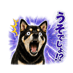 Leo the Black Shiba | Emotion Stickers