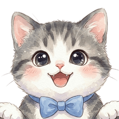 A healthy baby cat's daily life