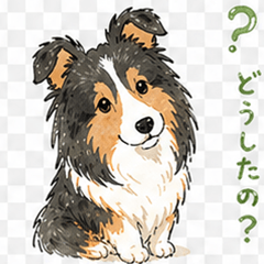 Sheltie Mayu Stickers