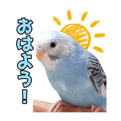 行け行け!ピッチちゃん!