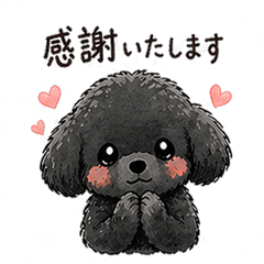 My Black Poodle's Daily Life