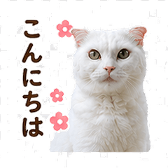 Koyuki - White Cat of Kintaikyo Stamps