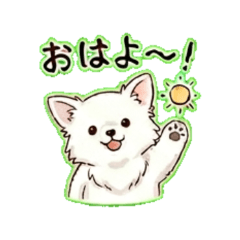 chihuahua - Daily Chat 24 Stickers