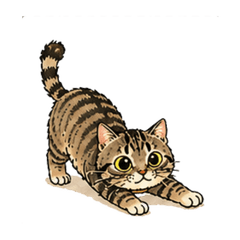 Tabby Cat's Everyday Stickers