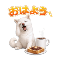 Mayo no Shippo_20260426154717