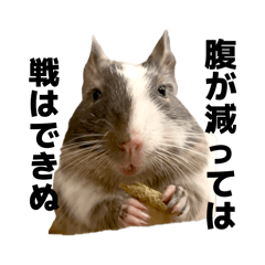 youpan_20260426153924