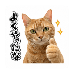 rinape_20260426160012