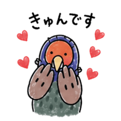 My Little Pheasant Friend