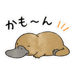 Platypus Pun Sticker Pack