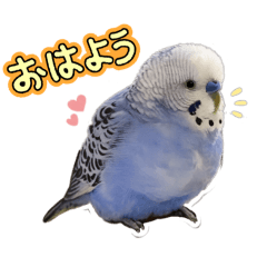 FumiKraft_20260426162632