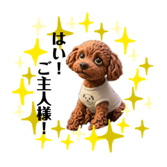 Bibibi-Rand_20260426162240