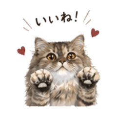 moconyn_20260426162903