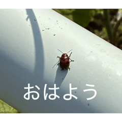 sninno_20260421194522