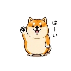 ChubbyShibainu