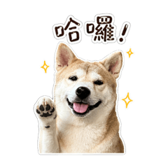 三寶日常生活2