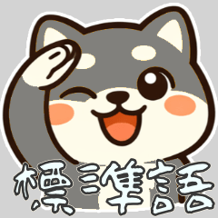 Shiba Inu Ko-chan,  Nihongo