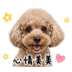蔡小B