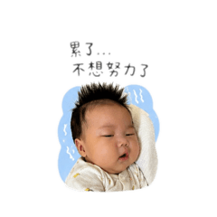沐之廢廢日常