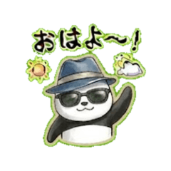 Panda Daily Chat Stickers