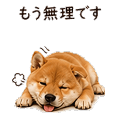 Useful Shiba Inu Stickers-Daily & Polite