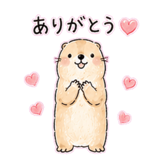 Prairie Dog Everyday Stickers