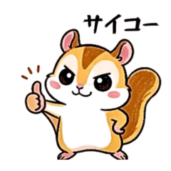 Cute and expressive sugar gliders