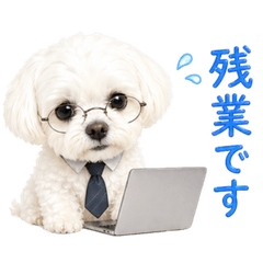 Lilia's Everyday Words