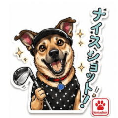 Koma the Golfer Dog