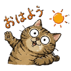 Butcher the tabby cat No.1