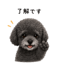 Office MAIGODOG_20260426172242