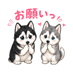 TORAKITI_20260426172500