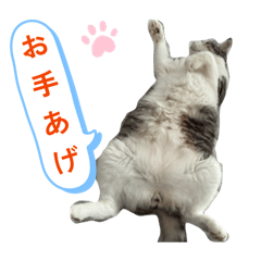 kasumin_20260426174305