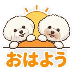 kazu/pin go_20260426172619