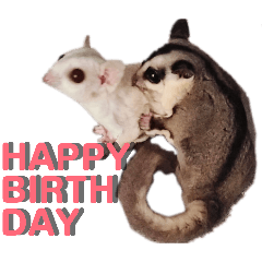 Moko-Noa_20260426235441