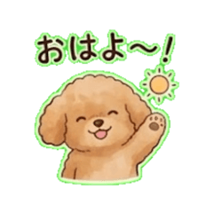 Daily Chat Stickers Toy poodle