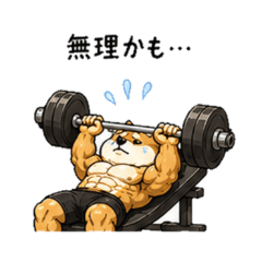 Mentally Weak but Buff Shiba