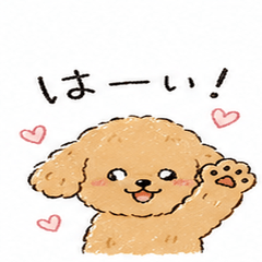 Puffy Poodle's Everyday Life