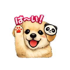 Golden Retriever Cute 1