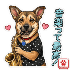 Musical Dog "Komachan" - Wind Band Fun!