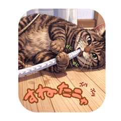 pretty pretty dog&cat