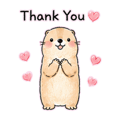 Daily Stickers with Prairie Dog English