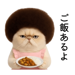 mataro_20260426185200