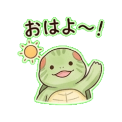 Green turtle - Daily Chat Stickers
