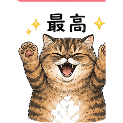 Fluffy Exotic Shorthair Daily Stickers